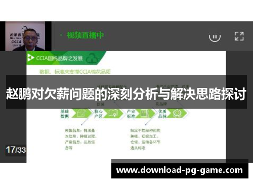 赵鹏对欠薪问题的深刻分析与解决思路探讨