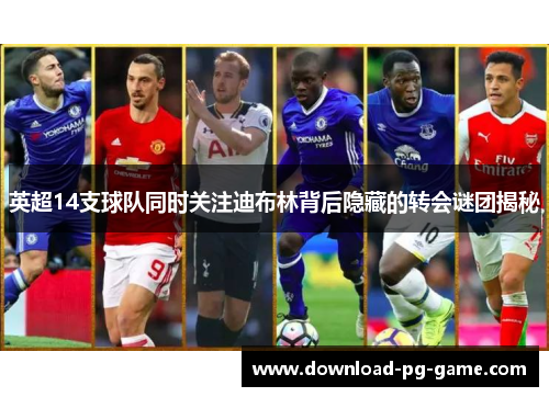 英超14支球队同时关注迪布林背后隐藏的转会谜团揭秘