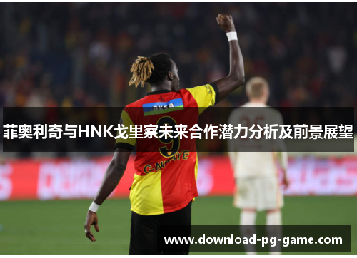 菲奥利奇与HNK戈里察未来合作潜力分析及前景展望 菲奥利奇与HNK戈里察未来合作潜力分析及前景展望